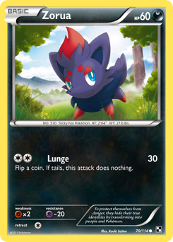 Zorua — Black & White