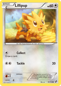 Lillipup — Black & White