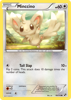 Minccino — Black & White