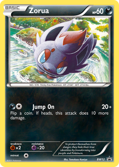 Zorua — BW Black Star Promos
