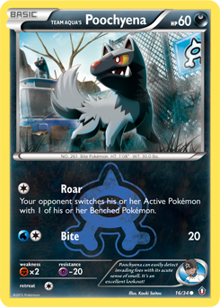 Team Aqua's Poochyena — Double Crisis