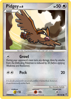 Pidgey — Secret Wonders