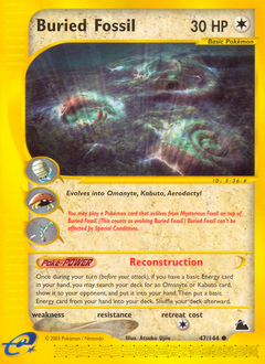 Buried Fossil — Skyridge