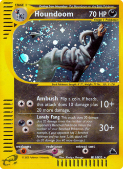Houndoom — Skyridge
