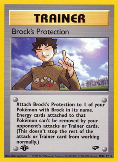 Brock's Protection — Gym Challenge