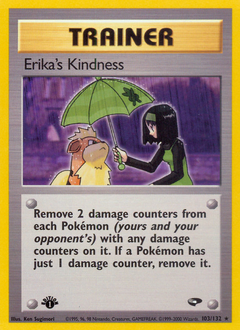 Erika's Kindness — Gym Challenge