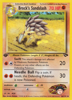 Brock's Sandslash — Gym Challenge