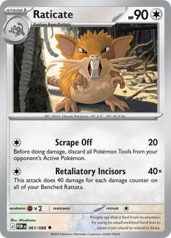 Raticate — Perfect Order