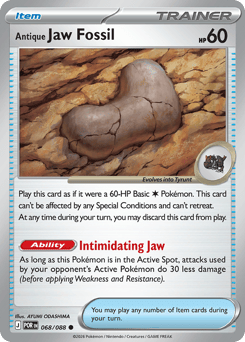 Antique Jaw Fossil — Perfect Order