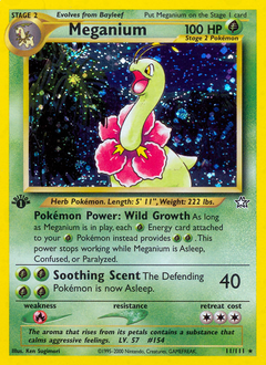 Meganium — Neo Genesis