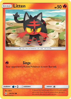 Litten — Unbroken Bonds