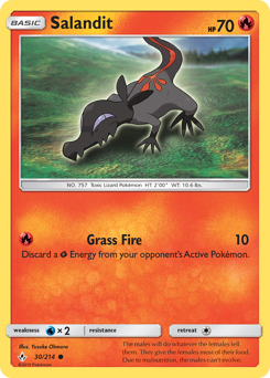 Salandit — Unbroken Bonds