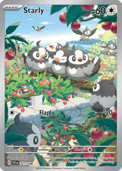 Starly — Scarlet & Violet