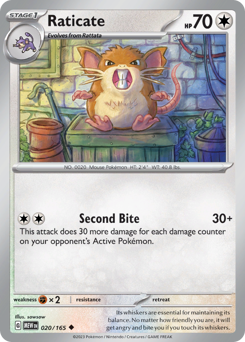 Raticate — 151