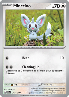 Minccino — Temporal Forces