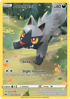 Poochyena — Crown Zenith Galarian Gallery