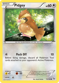 Pidgey — Flashfire