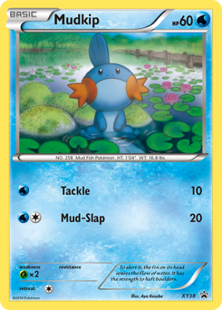 Mudkip — XY Black Star Promos