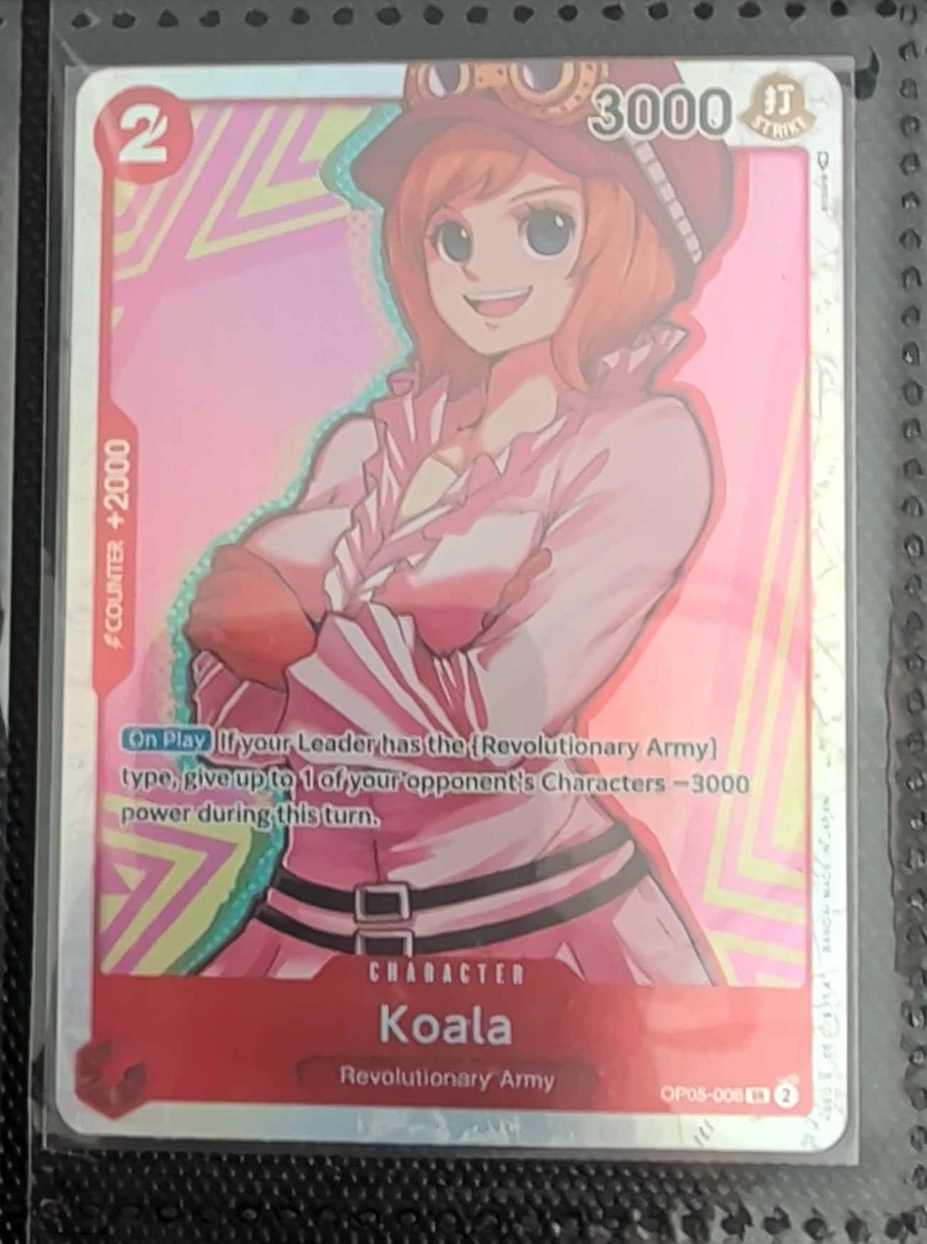Koala